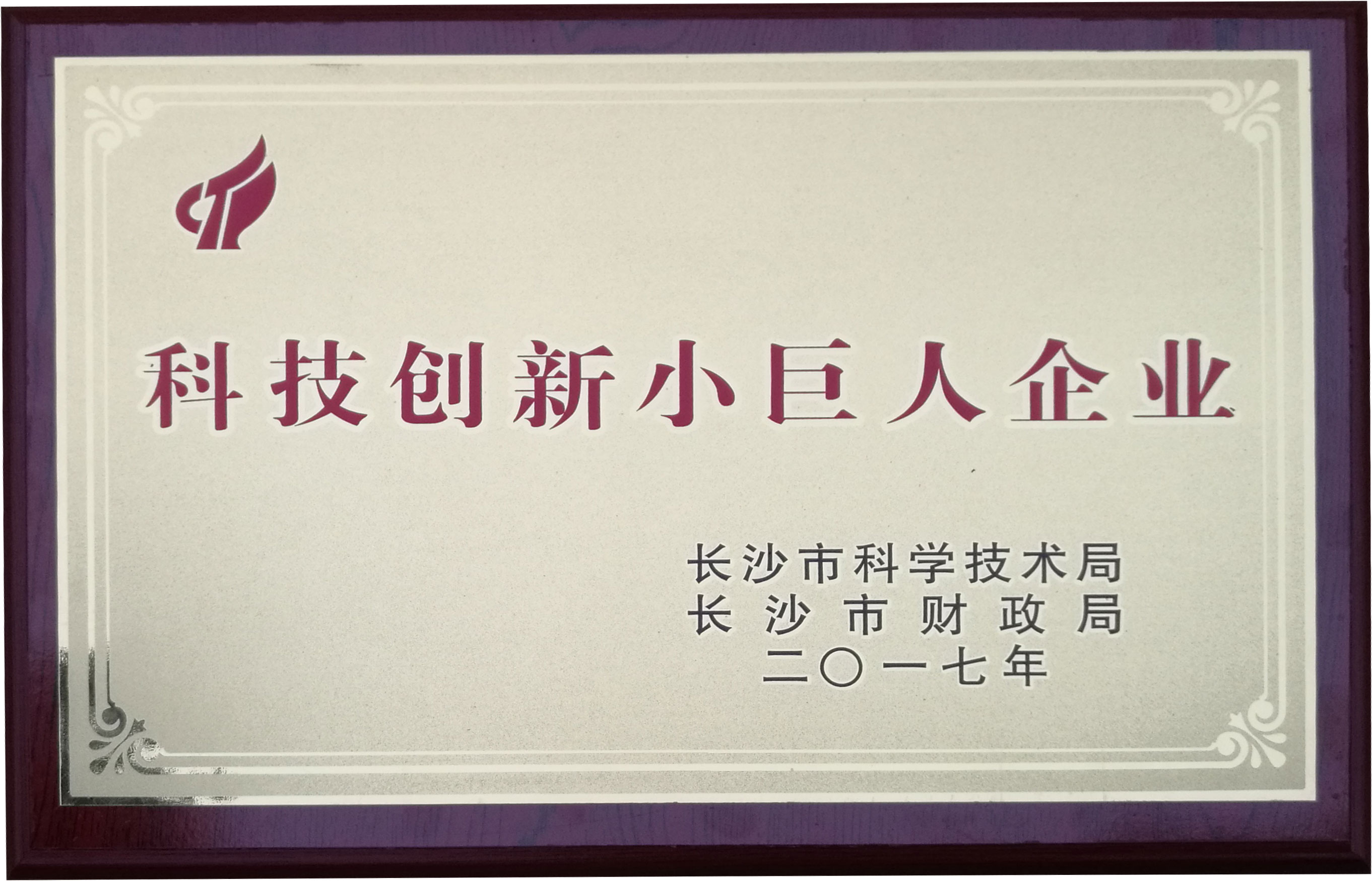科技創(chuàng)新小巨人稱號